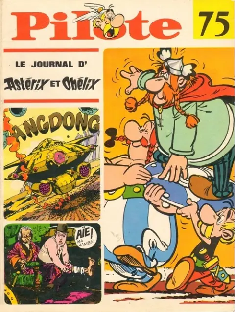 Pilote N° 75
