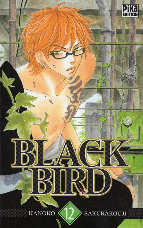 Couverture de l'album Black Bird 12