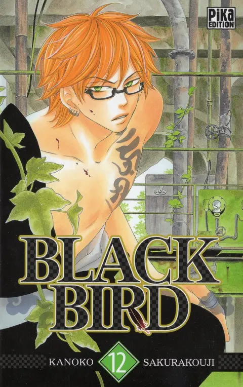 Black Bird 12