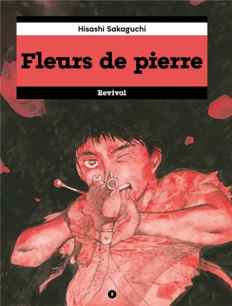 Fleurs de Pierre 2