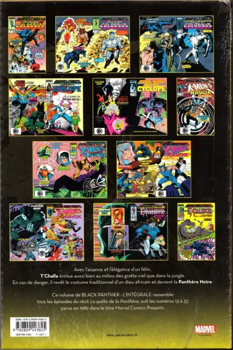 Verso de l'album Black Panther L'intégrale Tome 4 1989
