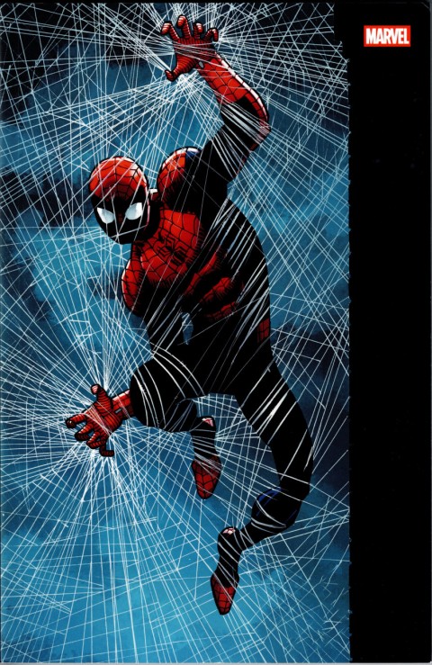 Couverture de l'album Marvel Comics (II) 19