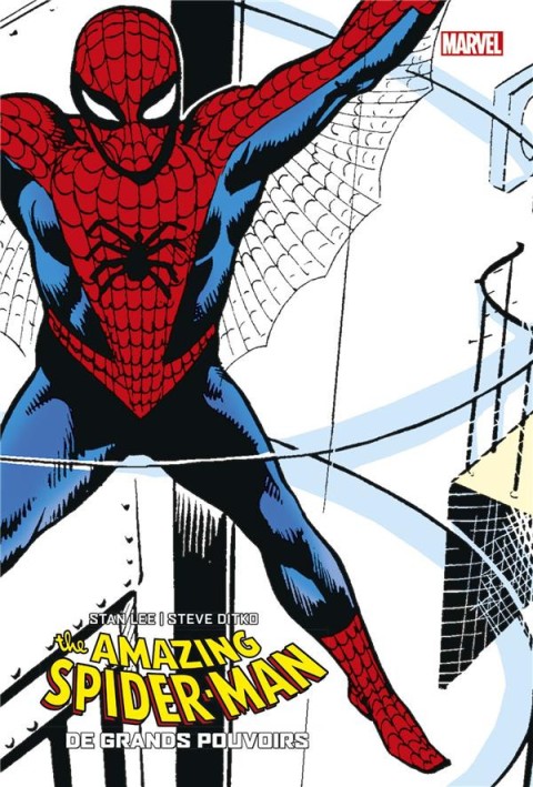 Couverture de l'album The Amazing Spider-Man De grands pouvoirs