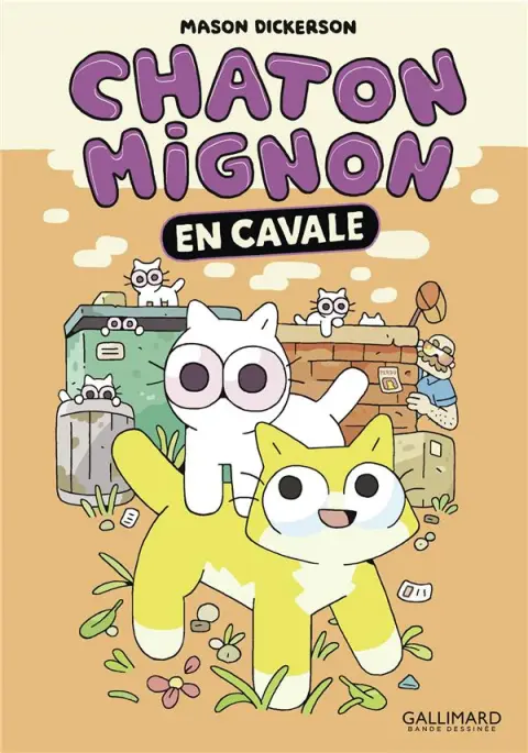 Chaton Mignon 2 En Cavale