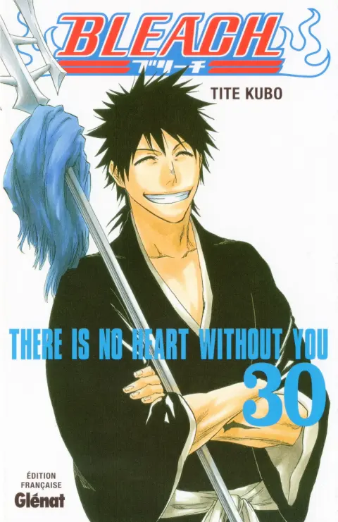 Bleach Tome 30 There Is No Heart Without You