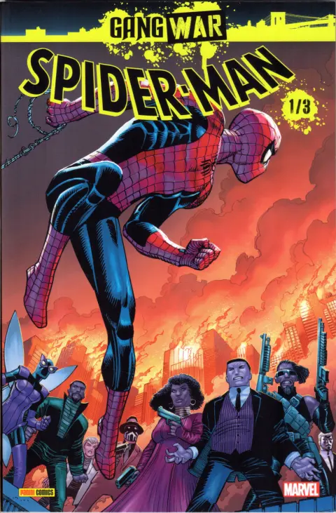 Spider-man : Gang War