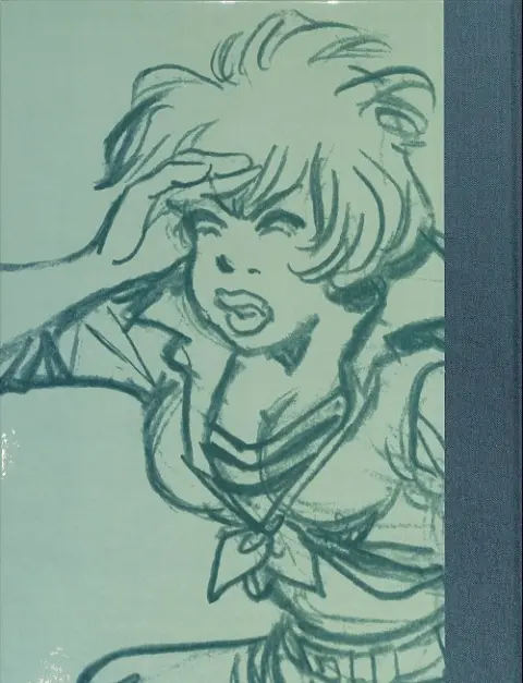 Verso de l'album Natacha Tome 23 Sur les traces de l'Épervier bleu
