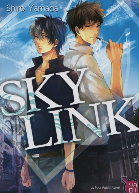 Couverture de l'album Sky Link