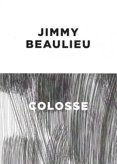Verso de l'album Piscine à vague