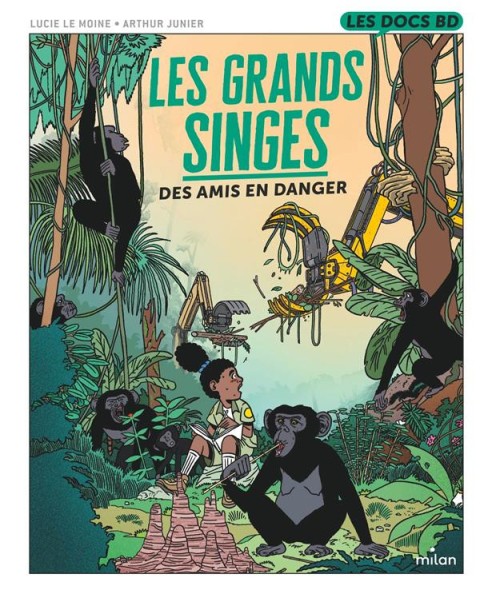 Les grands singes : Des amis en danger