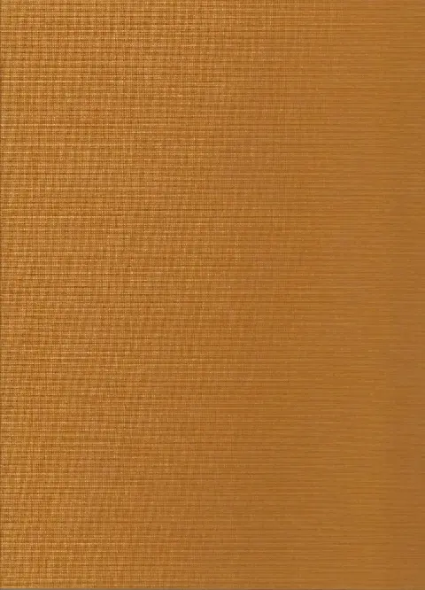 Verso de l'album Olivier Rameau Tome 2 La bulle de si-c'était-vrai