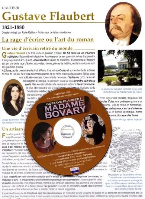 Autre de l'album Romans de toujours Madame Bovary