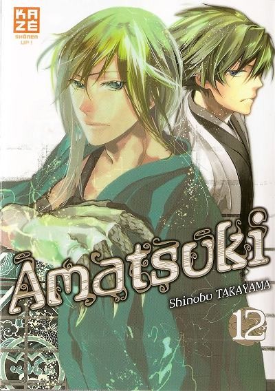 Couverture de l'album Amatsuki 12