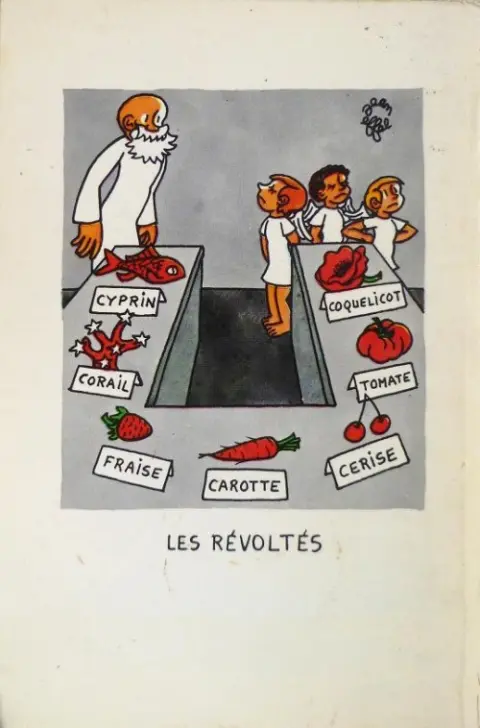 Verso de l'album La Création du monde Tome 2 Les Plantes et les Animaux