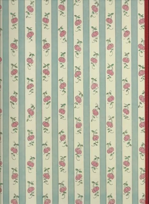 Verso de l'album Bécassine Tome 1 L'Enfance de Bécassine