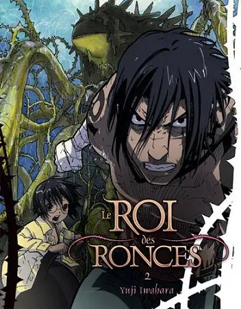 Le Roi des ronces Vol. 2 De l'autre côté du gouffre