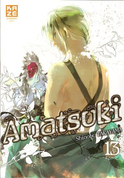 Couverture de l'album Amatsuki 13
