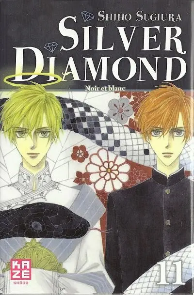 Silver Diamond 11 Noir et blanc