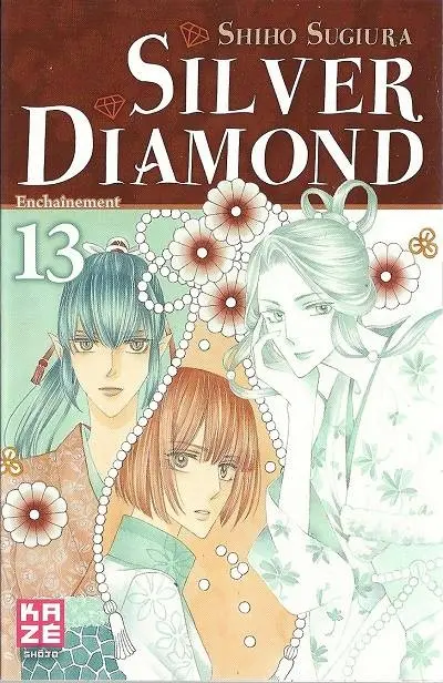 Silver Diamond 13 Enchaînement