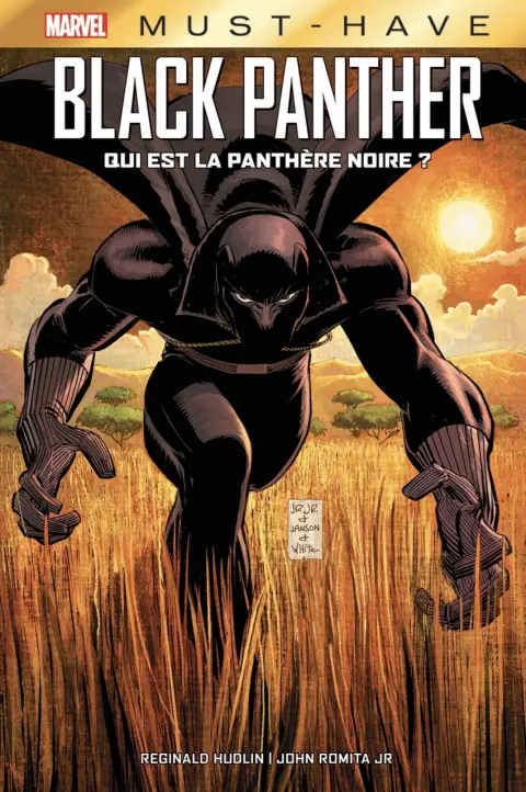 Panthère Noire Qui est la Panthère Noire ?
