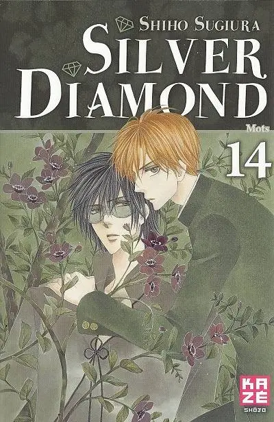 Silver Diamond 14 Mots