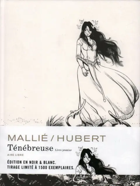 Autre de l'album Ténébreuse Livre Premier