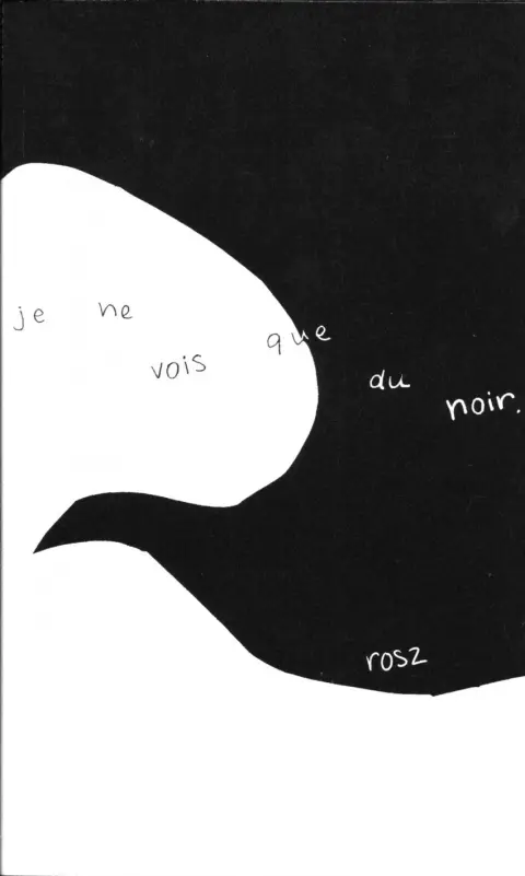 Je ne vois que du noir.