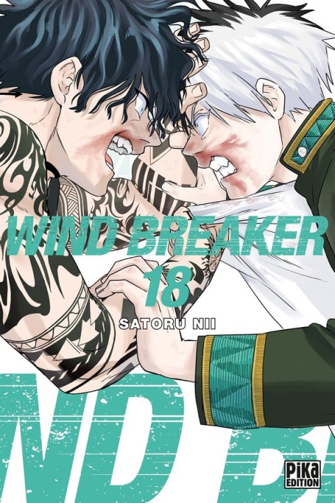 Wind Breaker 18