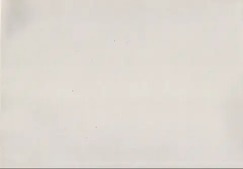 Verso de l'album Chouchou, le roi de la petite reine Tome 2