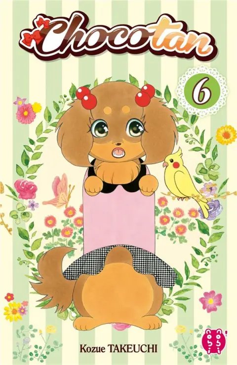 Chocotan 6