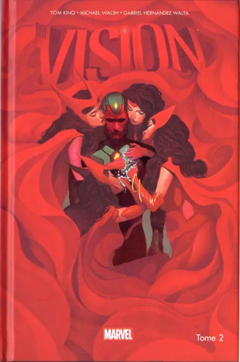 La Vision Tome 2 À peine mieux qu'une bête