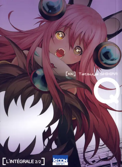 Q [Kou] L'intégrale 2/2