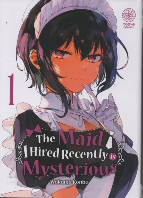 The maid I hired recently is mysterious