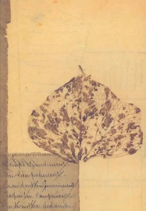 Couverture de l'album La Petite Arabe qui aimait la chaise de Van Gogh