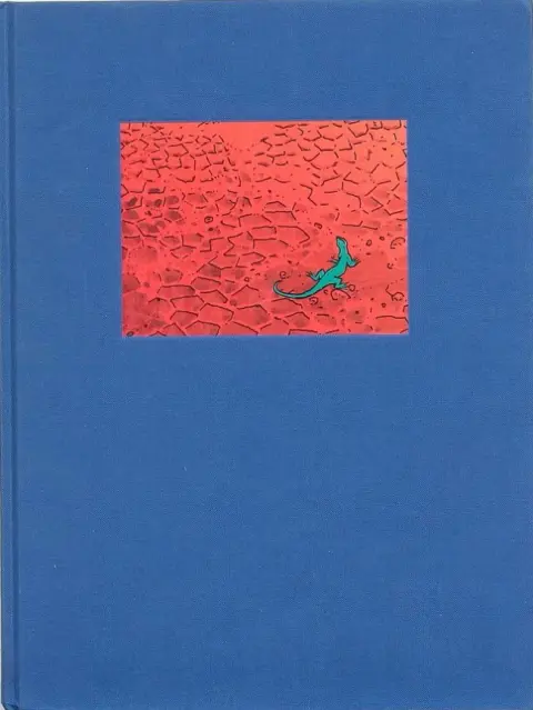 Couverture de l'album Les Magiciens d'eau