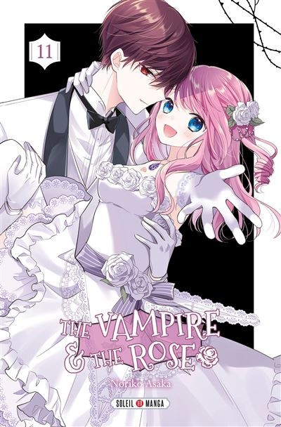 Couverture de l'album The vampire & the rose 11