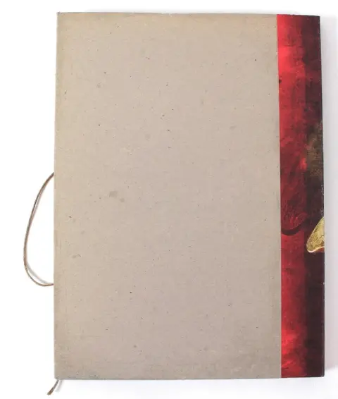 Verso de l'album Le Réseau Bombyce Tome 1 Papillons de nuit