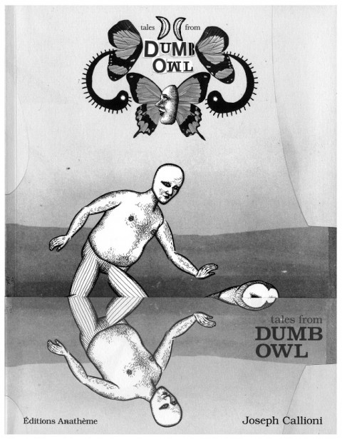 Couverture de l'album Tales from Dumb Owl
