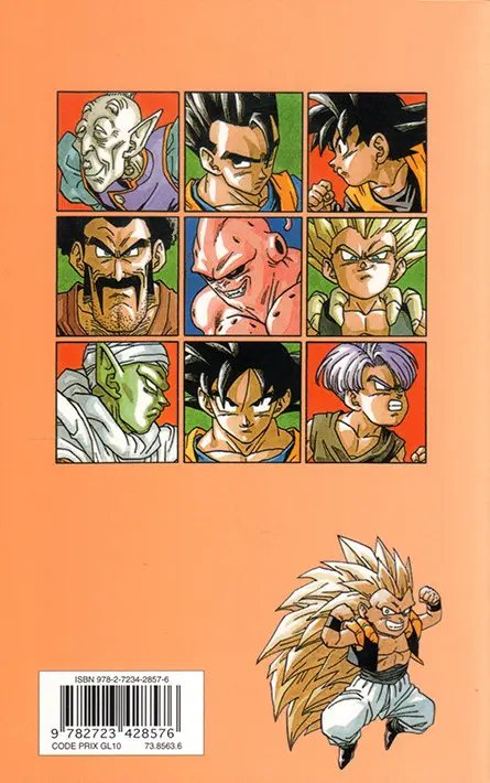 Verso de l'album Dragon Ball (sens français) Tome 41 Super Gotenks