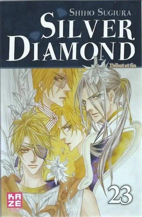 Silver Diamond 23 Début et fin