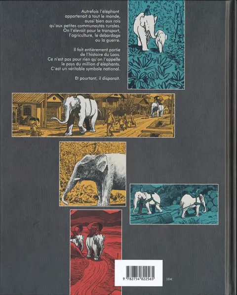 Verso de l'album La Longue Marche des éléphants