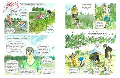 Planche de l'album Chiche ! En quête de l'autonomie alimentaire