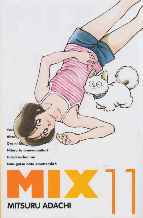 Mix 11