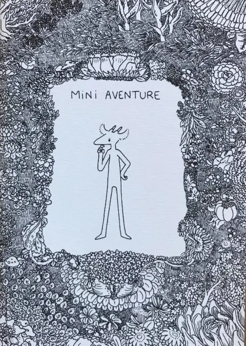 Mini aventure