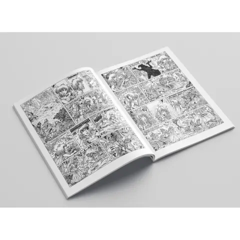 Planche de l'album Percevan Tome 18 Les miroirs du ciel