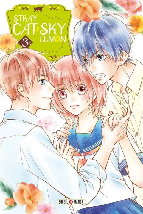 Stray cat and sky lemon 3