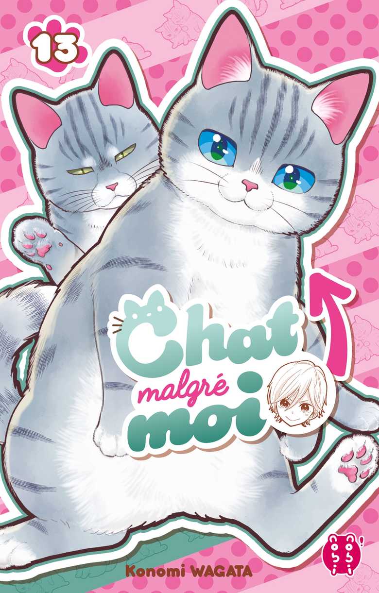 Chat malgré moi 13