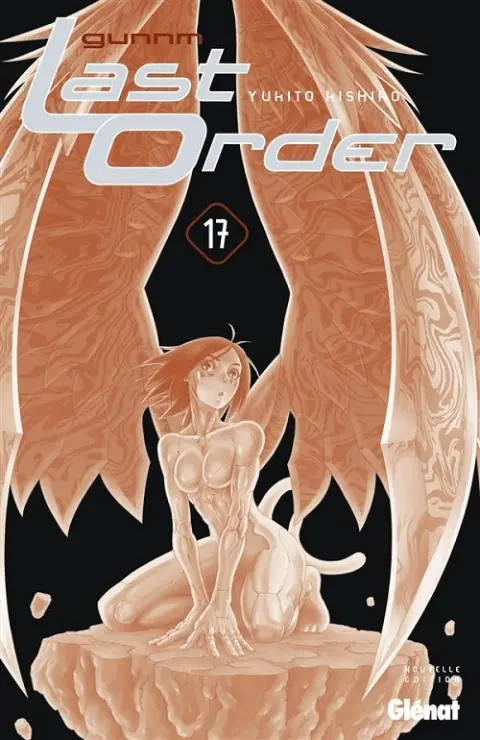 Gunnm - Last Order Nouvelle Edition 17
