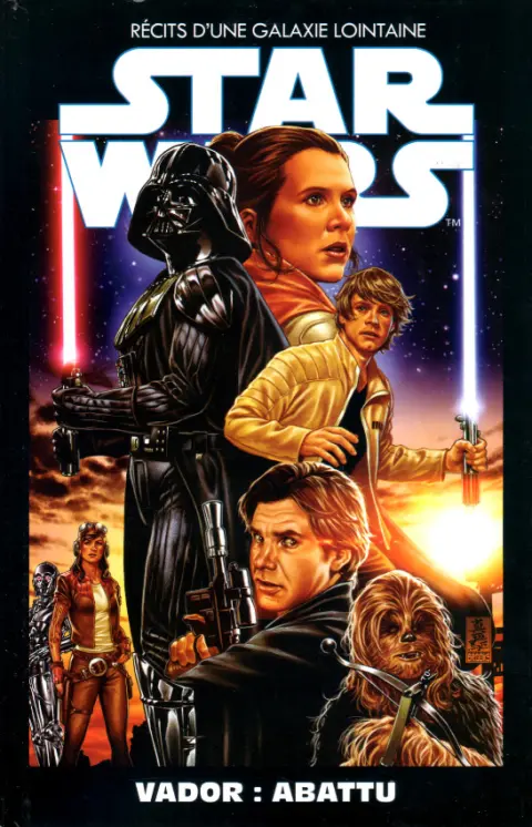 Star Wars - Récits d'une Galaxie Lointaine Volume 9 Vador : abattu