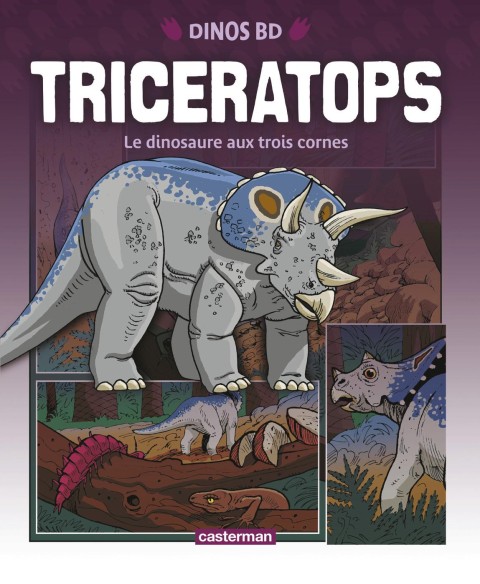 Dinos BD 2 Triceratops - Le dinosaure a trois cornes